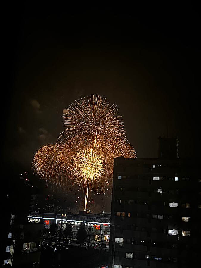 くきのうみ花火の祭典